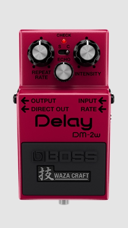 Boss DM-2W Delay